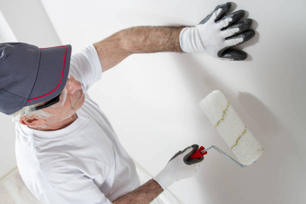 Best Mold Odor Removal Services  in Lake Erie Beach, NY