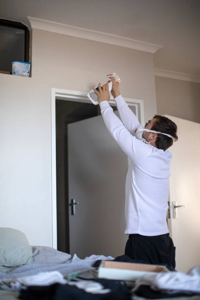 Best Mold Removal for HVAC Installations  in Lake Erie Beach, NY