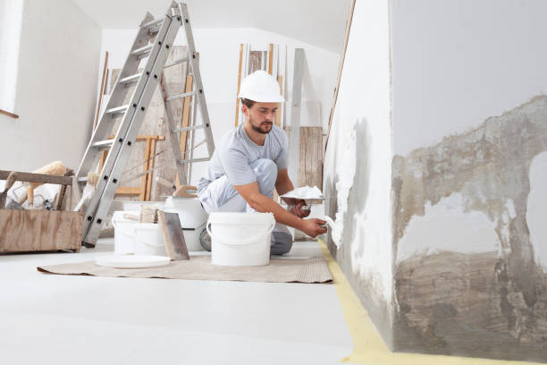 Best Black Mold Removal  in Lake Erie Beach, NY
