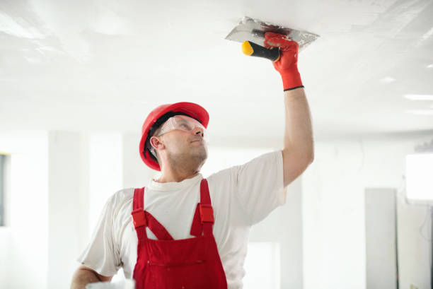 Best Attic Mold Removal  in Lake Erie Beach, NY
