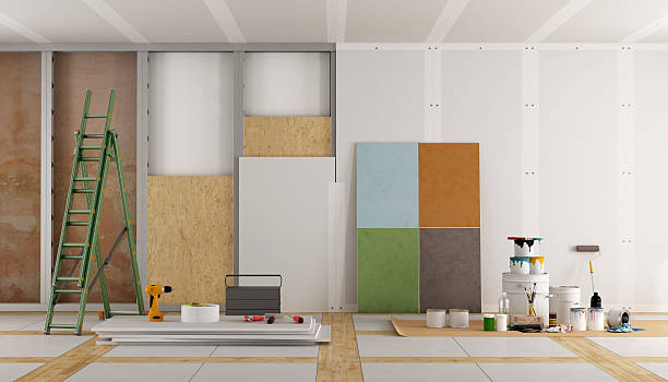 Best Basement Mold Removal  in Lake Erie Beach, NY