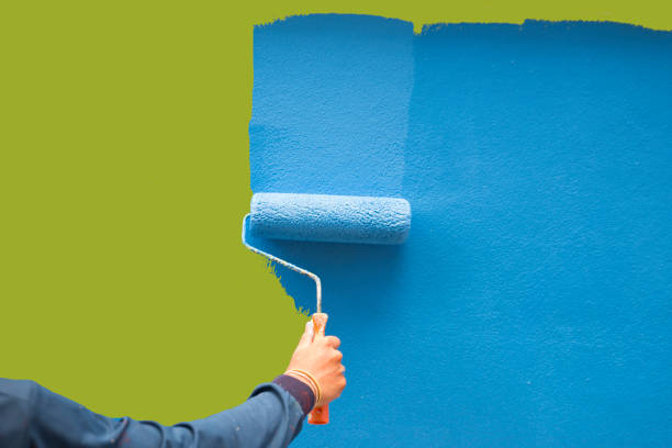 Best Environmental Consulting for Mold Prevention  in Lake Erie Beach, NY