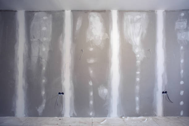 Best Mold-Related Health Consultation  in Lake Erie Beach, NY