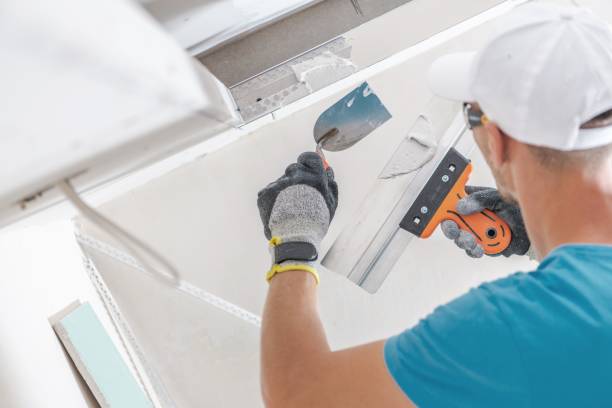 Best HVAC Mold Inspection and Cleaning  in Lake Erie Beach, NY